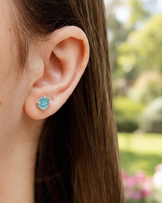 Brincos do alinhamento (Apatita Africana bruta)